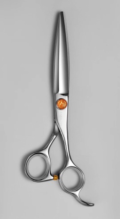 Парикмахерские ножницы прямые для стрижки Antelope RAY 675 625 - 6,75 дюймов (17 см)